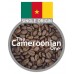 The African Collection Coffee Bundle